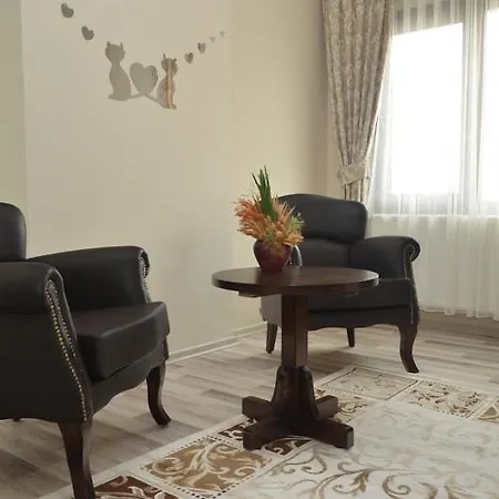 Otel Siler